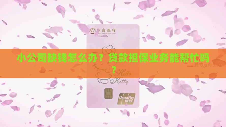 小公司如何贷款担保业务