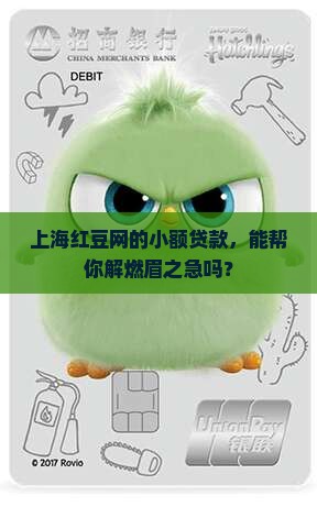 上海红豆网小额贷款