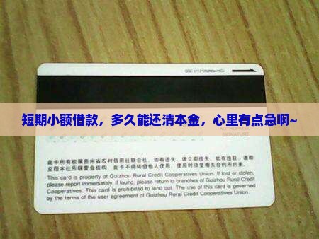 小额贷款几个月结本金啊
