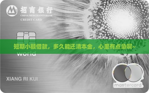 小额贷款几个月结本金啊