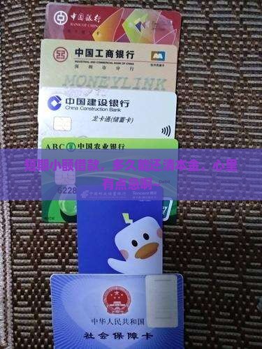 小额贷款几个月结本金啊