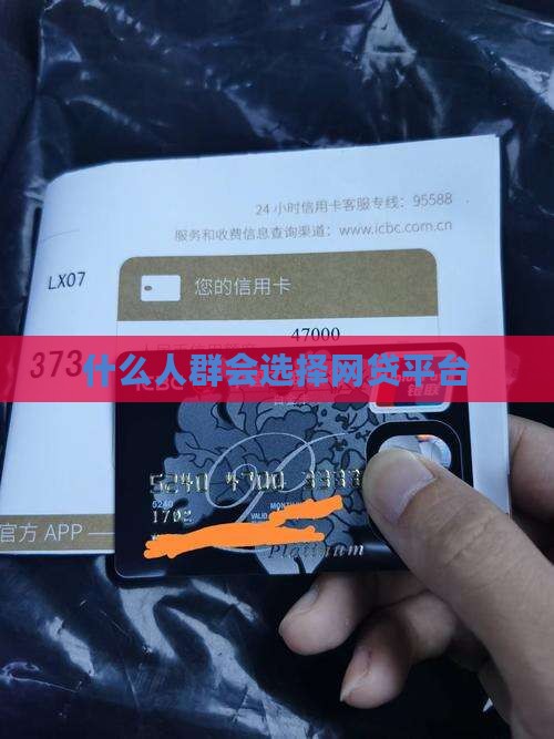 什么人群会选择贷款平台