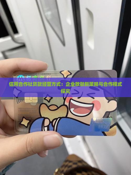 信用贷款经营方式