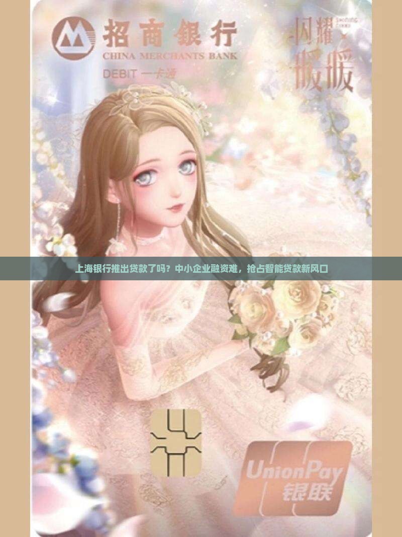 上海银行推出贷款了吗