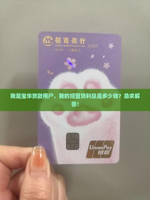 宝华贷款经营贷利息多少