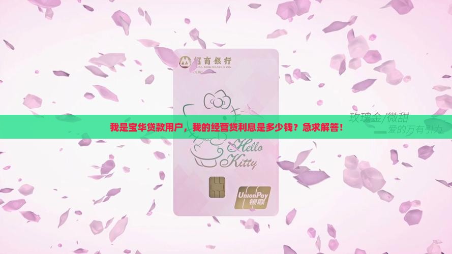 宝华贷款经营贷利息多少