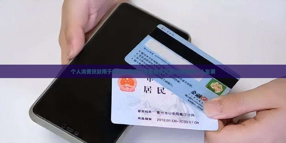 个人消费贷款用于家庭
