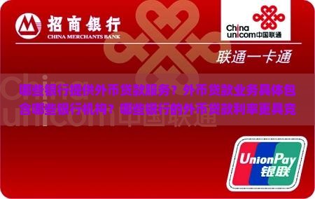 哪些银行机构有外币贷款