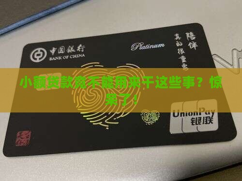 小额贷款不能用于什么