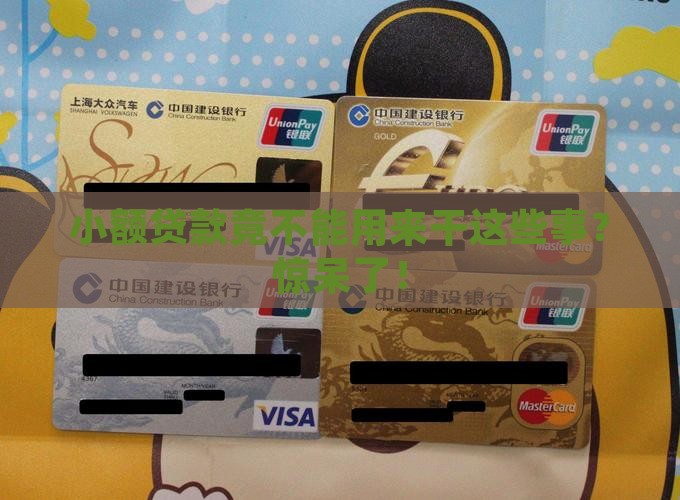 小额贷款不能用于什么