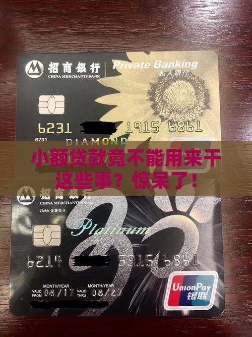 小额贷款不能用于什么