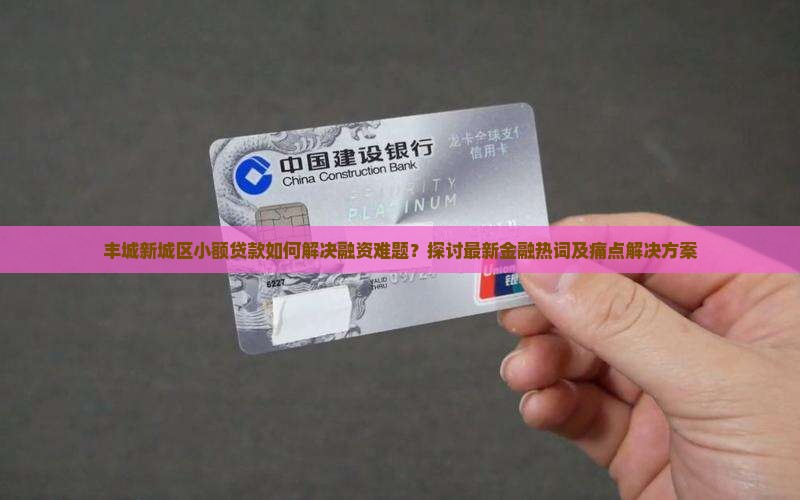 丰城新城区小额贷款