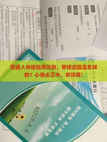 信用贷款要审核吗