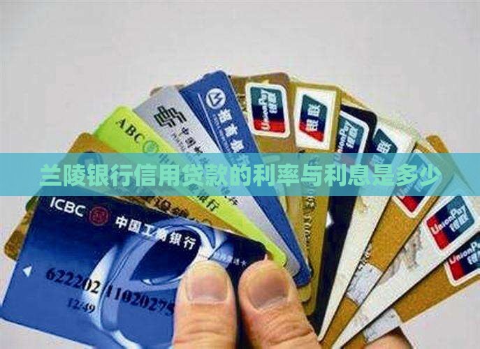 兰陵银行信用贷款利息