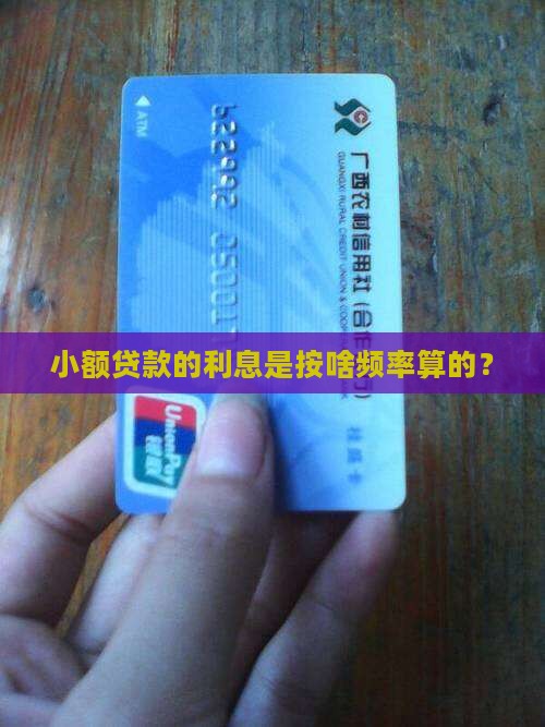 小额贷款利息多久一次