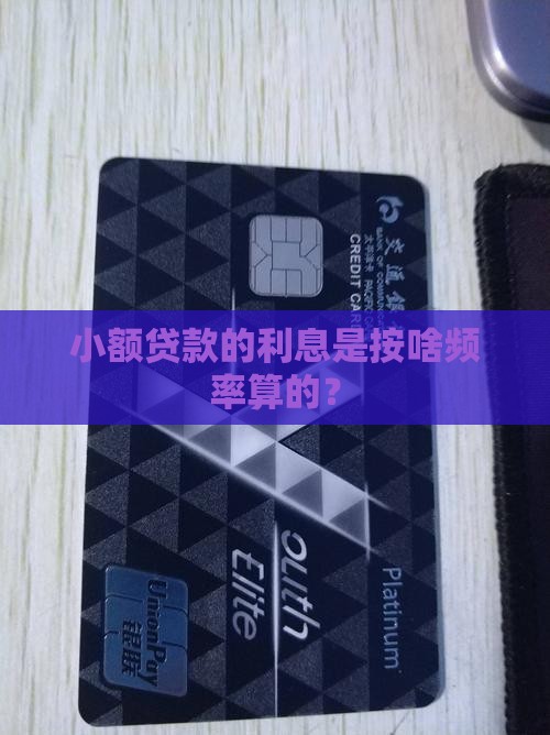 小额贷款利息多久一次