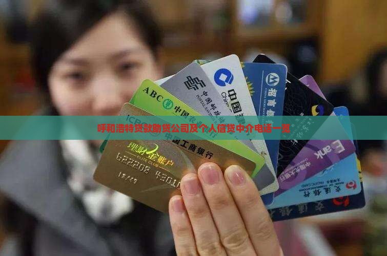 呼和浩特贷款助贷公司