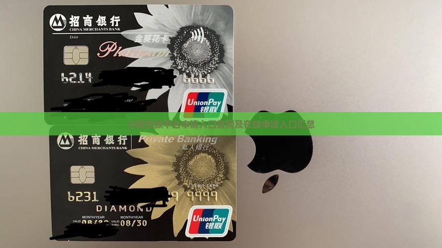 小额贷款平台申请入口