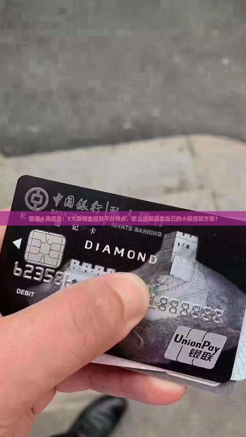 助保金贷款平台特点