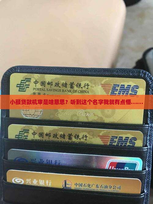 小额贷款机审什么意思