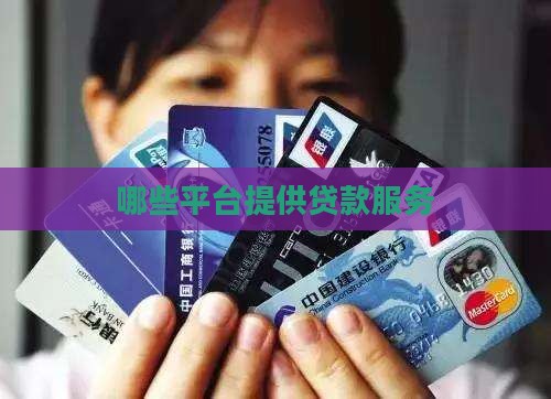 哪些属于平台贷款