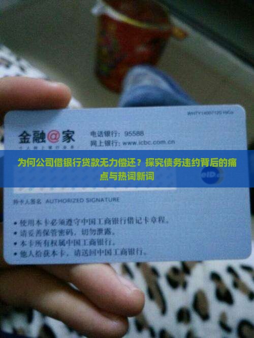 公司借银行贷款无力偿还