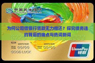公司借银行贷款无力偿还