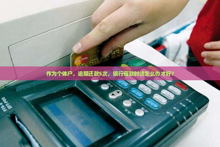 不及时归还银行贷款