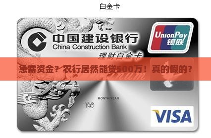 农行信用贷款500万