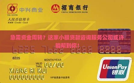 小额贷款咨询服务公司