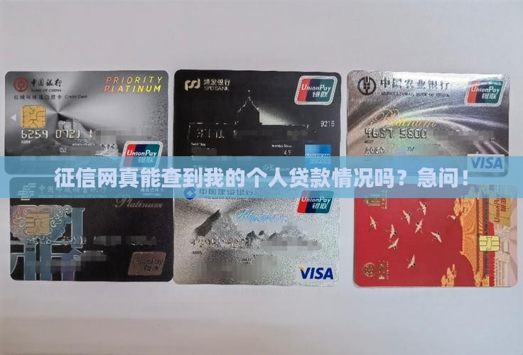 征信网可以查个人贷款嘛