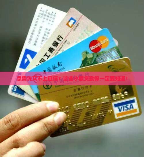 不查征信小额贷款有哪些