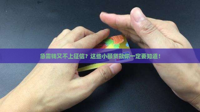 不查征信小额贷款有哪些