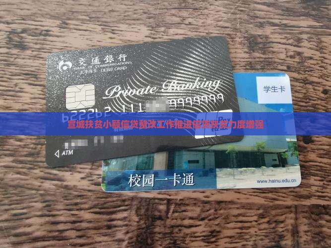宣城扶贫小额贷款整改