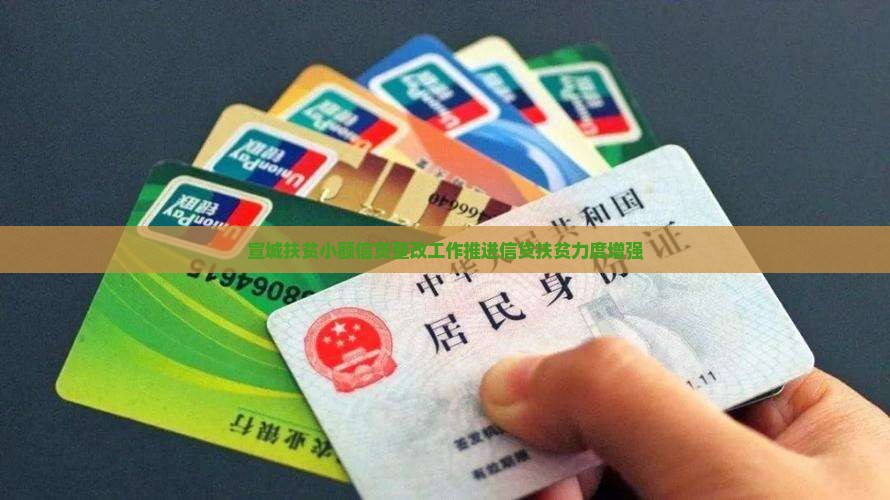 宣城扶贫小额贷款整改