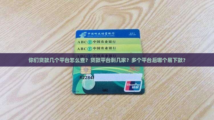 你们贷款几个平台