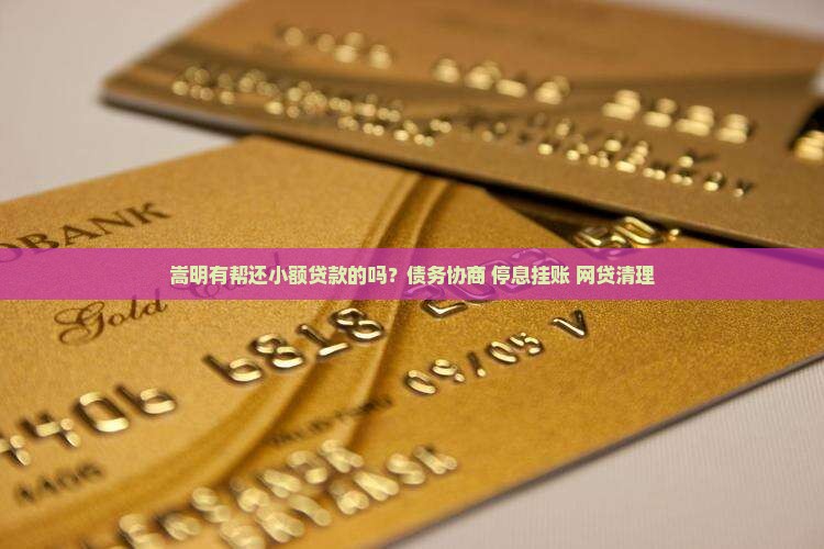 嵩明有帮还小额贷款的吗