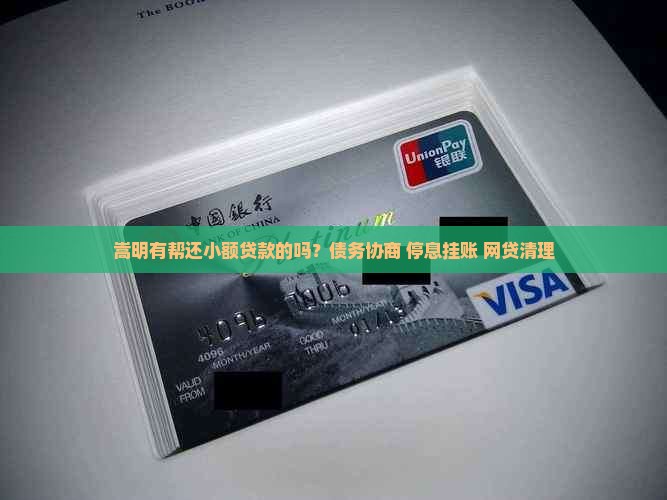 嵩明有帮还小额贷款的吗