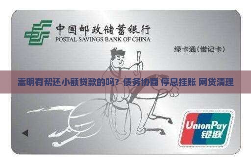 嵩明有帮还小额贷款的吗