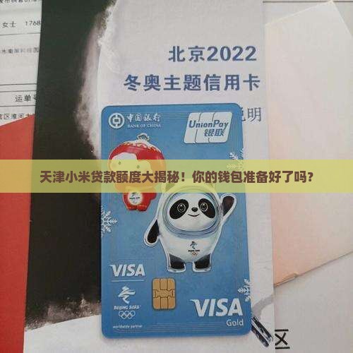 天津小米贷款额度