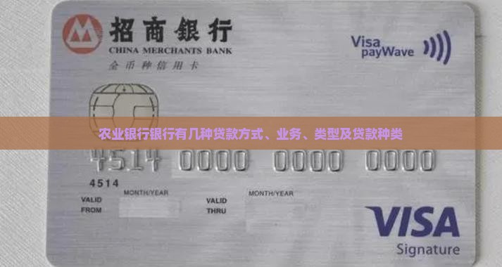 农业银行银行有几种贷款