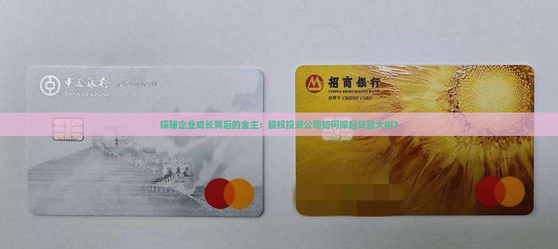 企业贷款股权投资公司