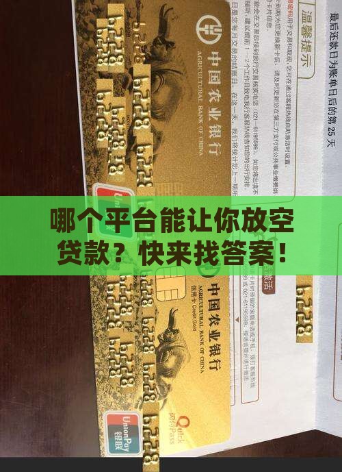 哪个平台可以放空贷款