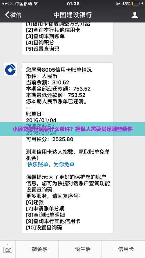 小额贷款担保要什么条件