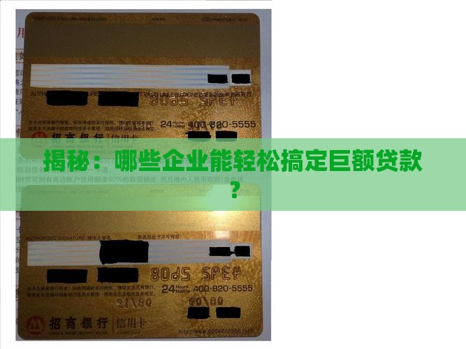 什么样的公司能大额贷款