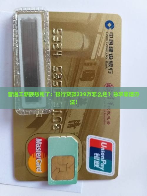 银行贷款239万