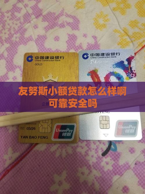 友努斯小额贷款怎么样啊