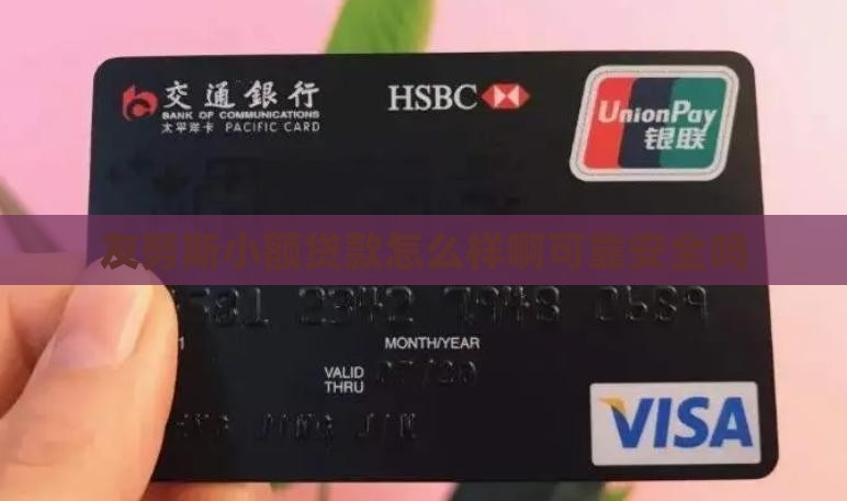 友努斯小额贷款怎么样啊