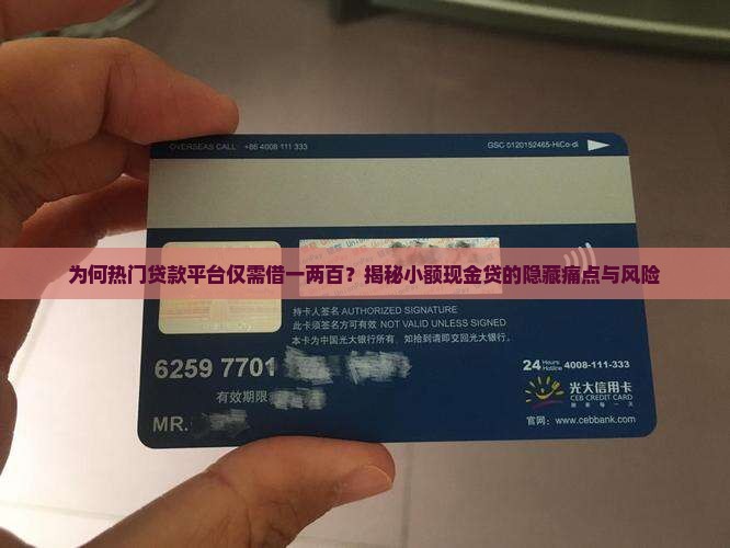 借一两百的平台叫什么贷款