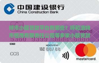 呼市小额贷款平台有哪些